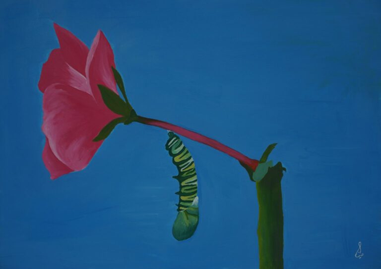 مینا-موسوی-1536x1087